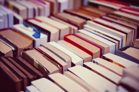 angled top edge view of standing rows of books