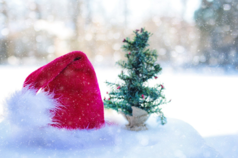 santa hat in snow next to miniature decorated Christmas tree