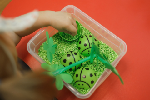 young child plays with uncooked, green-dyed rice and green ladybug toys in a plastic tub