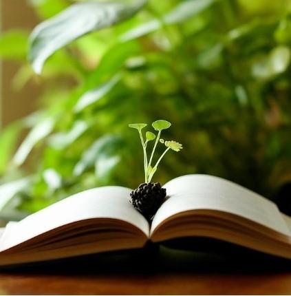 A plant blooming out of a book.
