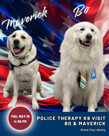 photo of Bo, a great Pyrenees, and Maverick, a goldador retriever, sitting in front of a flag background