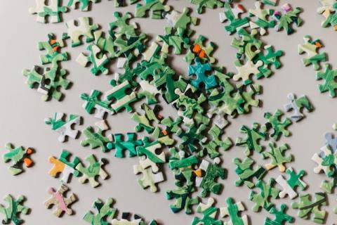 Jigsaw puzzle pieces