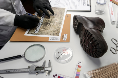 a forensic investigator examines shoe prints and other evidence