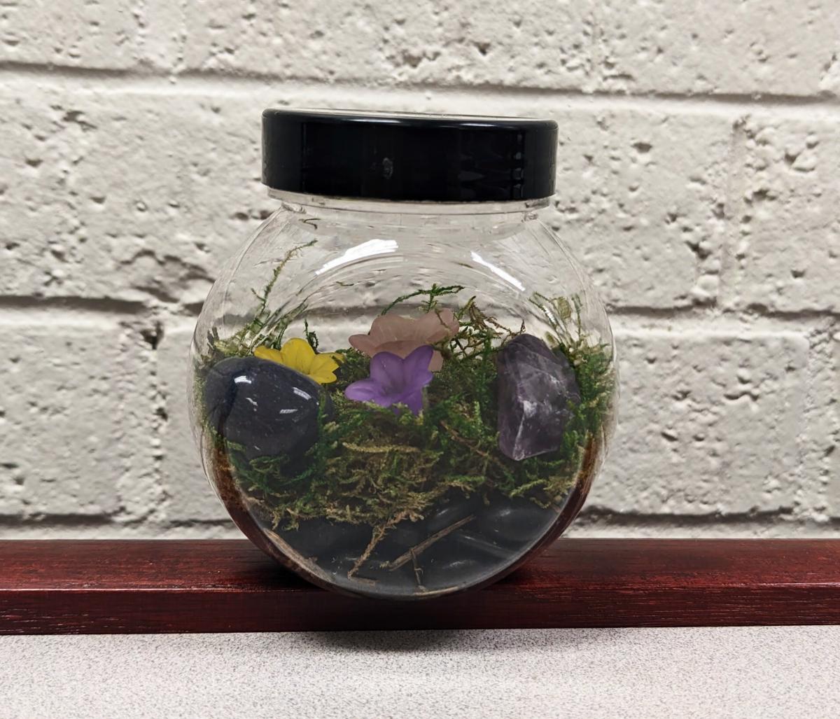 Mini terrarium